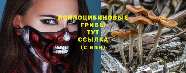 МДМА Арсеньев